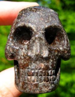 Meteorite Crystal Skull Stony Iron Space Rock Chile
