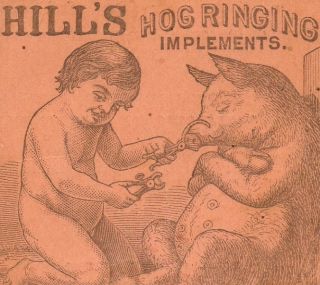 Hills Hog Ringing Implements, Decatur, Illinois 1873 to 1877