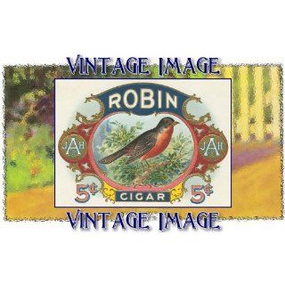 Clear Window Cling 6 inch x 4 inch (14 x 10cm) Bird Robin