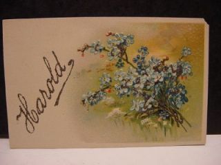  /Victorian c1910 Glitter Greetings Postcard HAROLD w/Forget Me Nots