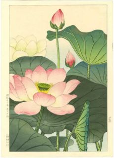 Nishimura Hodo Japanese Woodblock Print Lotus Blossoms