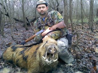  Real Wild Hog Hunts