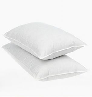 This Year Jumbo Microfiber Two Standard Pillows Set New