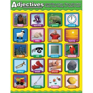 17 Pack CARSON DELLOSA ADJECTIVES PHOTOGRAPHIC CHARTLETS