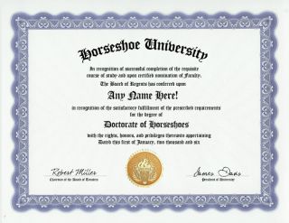  horseshoes custom fully personalized novelty phd diploma y ou supply