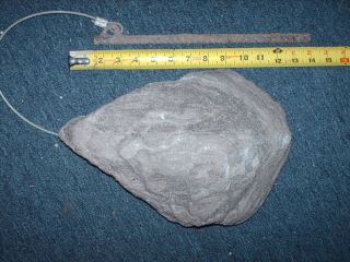 Medium Large Hollow Rock Cache Semi Water Resistant Comes with Hold