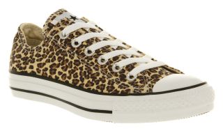 Converse All Star Ox Low Leopard Canvas Exclusive Trainers Shoes