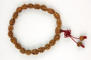 Mala Jing Gong Seed Prayer Beads Buddhist Nut Jewelry