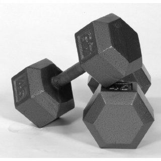 Troy Barbell IHD 040 Solid Hex Dumbbell   40 Pounds