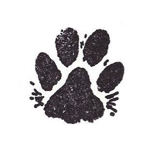 Dog Rubber Stamp   Paw Print With Fur Medium 1003C (Size