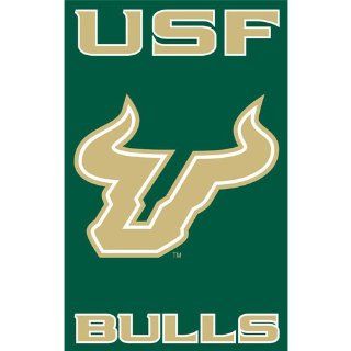 BSS   South Florida Bulls NCAA Applique Banner Flag (44x28