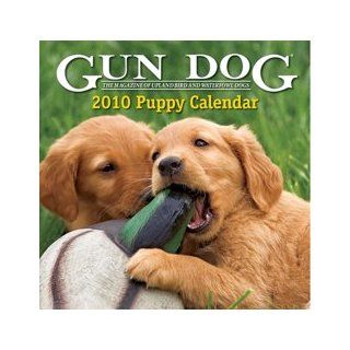 Gun Dog 2010 Puppy Wall Calendar   New: Office Products