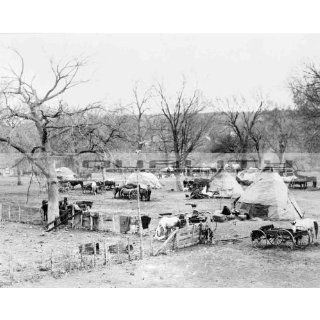 1906 Osage Native American Indian Camp [8 x 10 Photograph