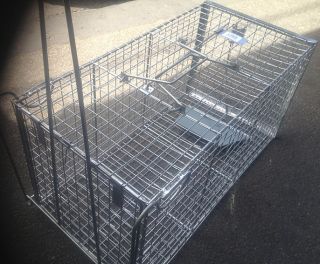 Humane possum cage rat cat rabbit bird trap Spring loaded desIgn BRAND