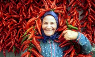 Hungarian Red Spice Pepper Kalocsai 622 10 Seeds