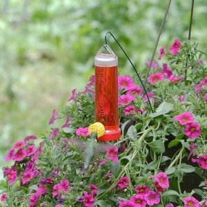 Perky Pet® Planter Box Hummingbird Feeder Hanging Rod