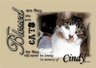  pet memorial Blessed are those who love cats .. with your photo