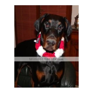 USD $ 4.49   Christmas Jingle Bell Style Soft Collar for Dogs (13 x