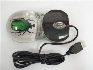 Optical Computer Mouse Clear Green Rose Chafer Beetle