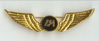 Indian Airlines Pilot Golden Wings Badge