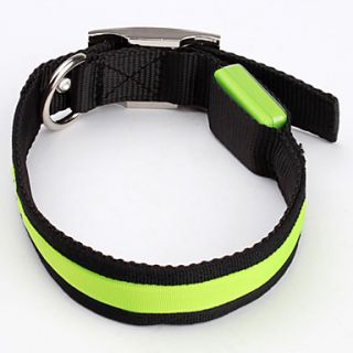 USD $ 10.99   Classic Style LED Dog Collar (40~50 x 2.5cm, Assorted
