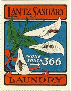 Lantz Sanitary Laundry Soap Poster Stamp Lily Flower American Arts
