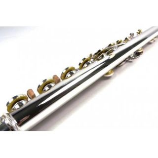 Italian Pads 16 Keys Open Hole Band Flute Silver Plated Split E Brand