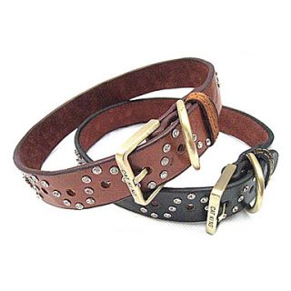 USD $ 11.59   Premium Adjustable Belt Style Dog Collar (56 x 3cm, XL