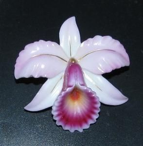   toshikane japan porcelain arita Button Orchid Iris flower plant life