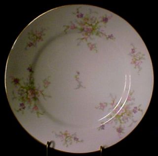 Royal Jackson China ROJ29 Dinner Plate