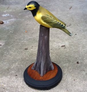   Hooded Warbler Hand Carved Songbird By Roy J Legaux Sr Bird Carving