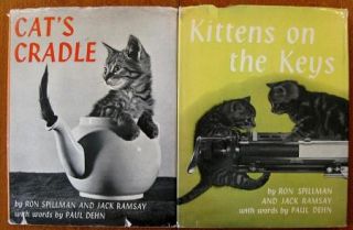 Cats Cradle Kittens on The Keys by Ron Spillman HC
