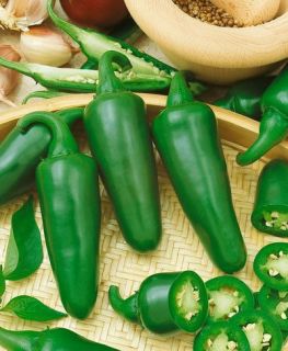 Vegetable Seeds Hot Pepper Jalapeno Early Garden Seed