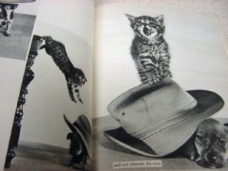 1959 Cats Cradle Adorable Funny Kitten Photos Spillman