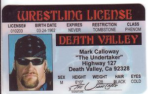 Pick Undertaker Hulk Hogan John Cena or Dale Earnhardt Plastic