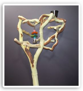 Manzanita Parrot Tree Bird Stand Toy Play Gym Like Java Wood