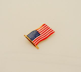 Vintage American Flag Pin Fashion Costume