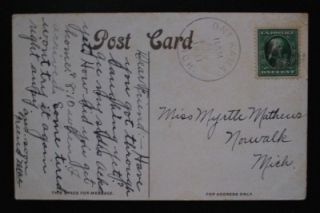 John Ball Park Grand Rapids MI Vintage Postcard 1911