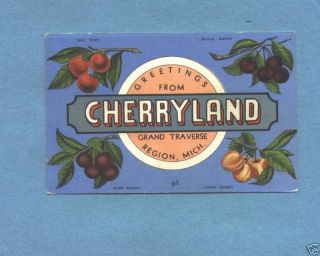 B3890 Linen Advertising Postcard Cherryland