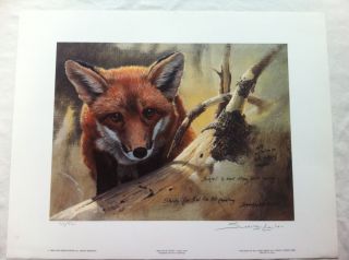 John Seerey Lester Red Fox Kit Study Limited Edition Print