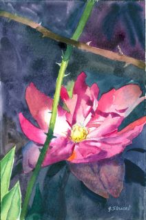 Listed California Artist John N Stewart NWS 1940 Floral Watercolor  