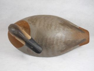 Canvasback Hen Duck Decoy Upper Chesapeake Bay MD Turned Preening Head Branded  