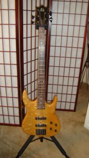 Ken Smith Custom 5 Burner Bass Guitar