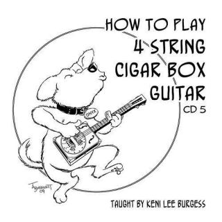 Guitar 4 String Video Lessons Baritone Uke Banjo Tenor Keni Lee