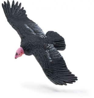 Safari 264929 California Condor Toy Bird Animal Model Vulture Figurine