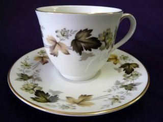 Royal Doulton China Larchmont Pattern T C 1019 Cup and Saucer