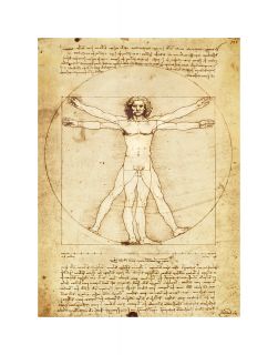 Leonardo Da Vinci Vitruvian Man Large Art Poster Print