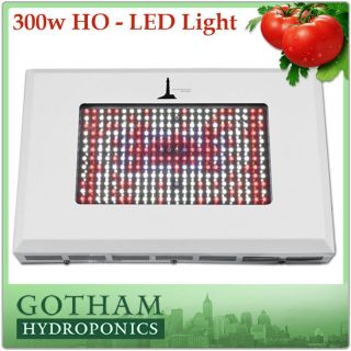 300W Lighthouse Hydro LED Grow Light VEG Clone