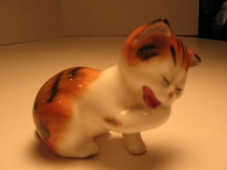 Royal Doulton Orange Striped Tabby Kitten Cat Figurine Licking Its Paw