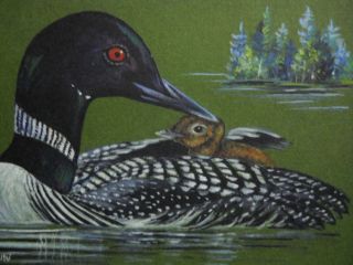 ACEO Loon Bird Waterfowl Wildlife Print of Painting